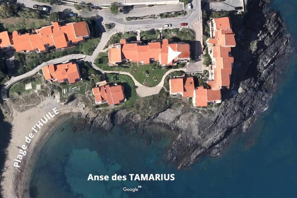 Collioure Appart En Bord De Mer Plage A 50M Clim Garage Location Du Samedi Au Samedi מראה חיצוני תמונה
